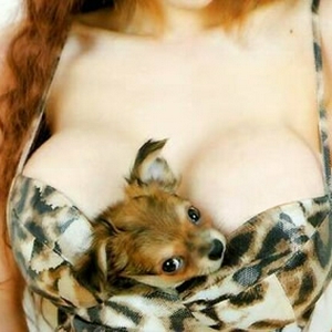 Gelukkig Hondje.jpg