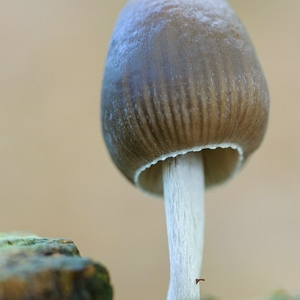 sized_untitled-0052.jpg