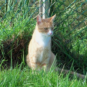 100_0156a.jpg