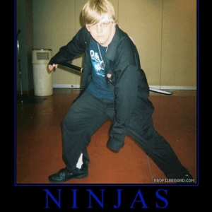 120_laid-ninjas.gif