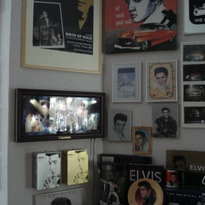 elvis (1).JPG