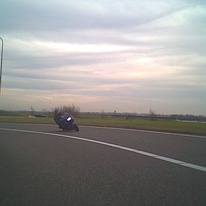 blue valvet_r.jpg