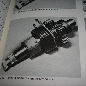 DSCN2906 (Medium).JPG