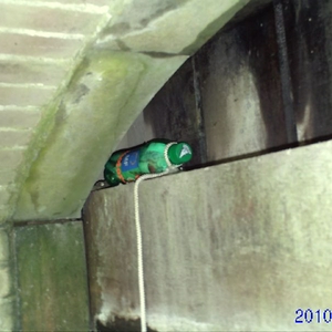 petfles003.jpg