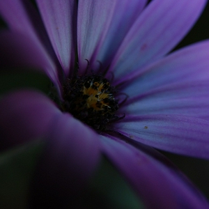 DSC_0171.JPG