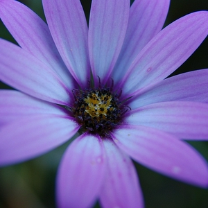 DSC_0182.JPG