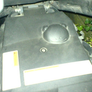 DSC00201.JPG