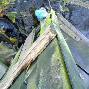 03112010074.jpg