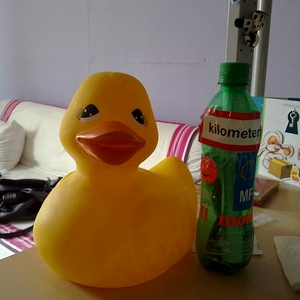 03112010079.jpg