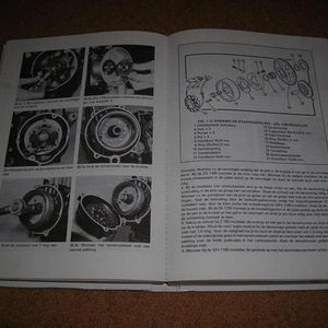 DSCN2953 (Large) (Medium).JPG