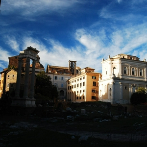 DSC_5565.jpg