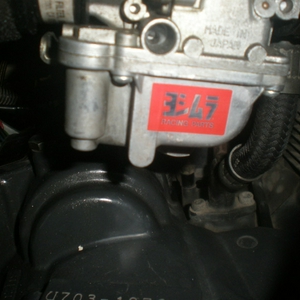 PB101032.jpg