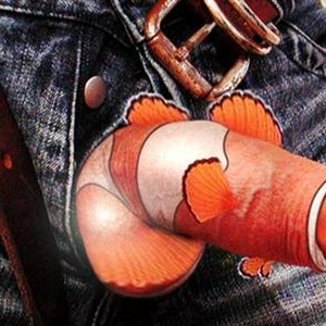 NEMO_1.jpg