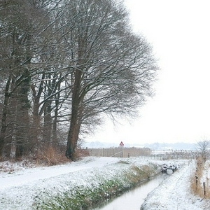 DSC_0210.JPG