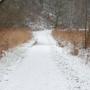 DSC_0215.JPG