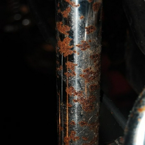 DSC_6963Klein.jpg