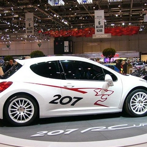 peugeot_207_RC_2.jpg