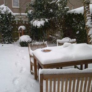 24122010114s.jpg