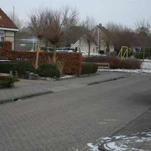 SDC17218a.JPG