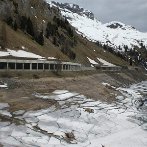rara.JPG