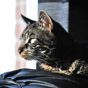 DSC_5968.jpg