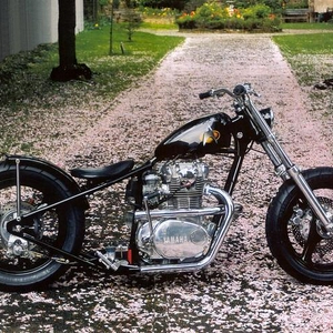 hardtail 3.jpg