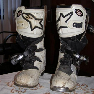 P2230006 (Medium).JPG