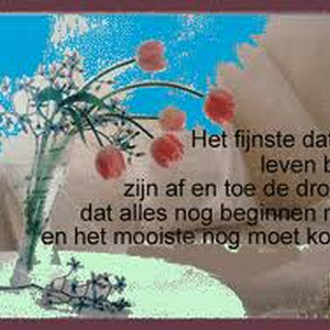dromen.jpg