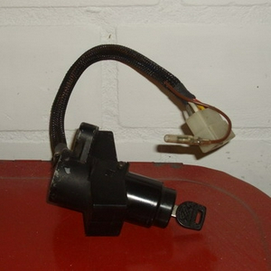 IMGP2498.jpg