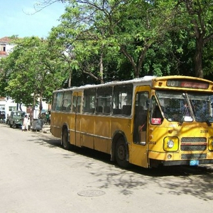 BUScuba_2007_1185460200_dutch-bus.jpg