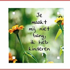 je maakt mij niet bang.jpg