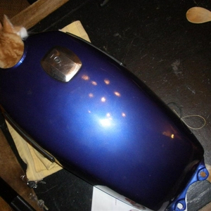 PC150494 (Large).JPG