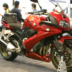 fz1.jpg