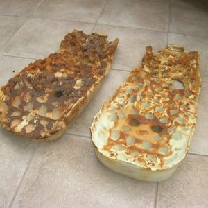 DSCN2707.JPG