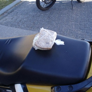 P3061762 MF.JPG