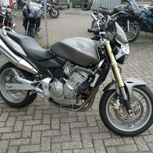 Mn Hornet