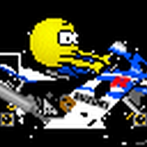 gsxrsmiley.gif