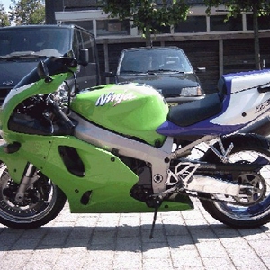 green feare.jpg