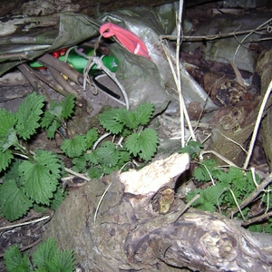 pic02.jpg