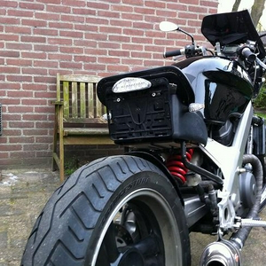 Brull 1