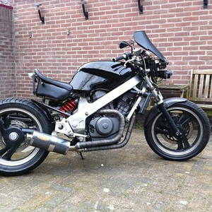 Brull 3