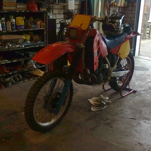 Afb0385.jpg