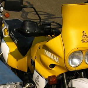 IMG_0558crop.JPG
