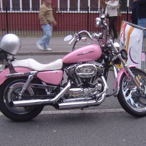 sarah_palin_harley_davidson.jpg