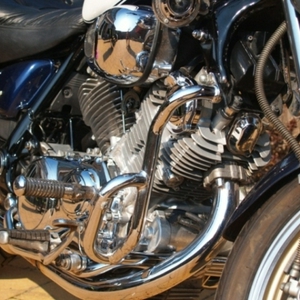 CloseUp.JPG