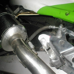 steppie.jpg