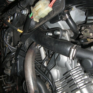 CIMG0007.JPG