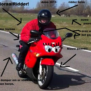 pasopdemoraalridder.jpg