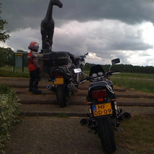 LR2011-01-07.jpg