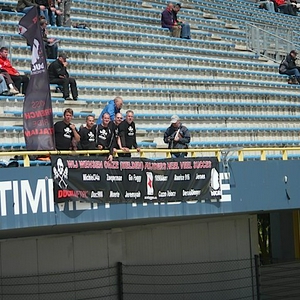 tribune-1.jpg